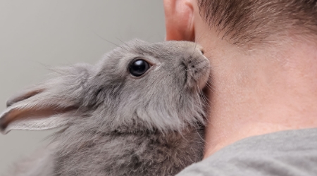 Dentisterie et soins<br />
buccodentaires