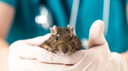 Médecine préventive et suivis de santé