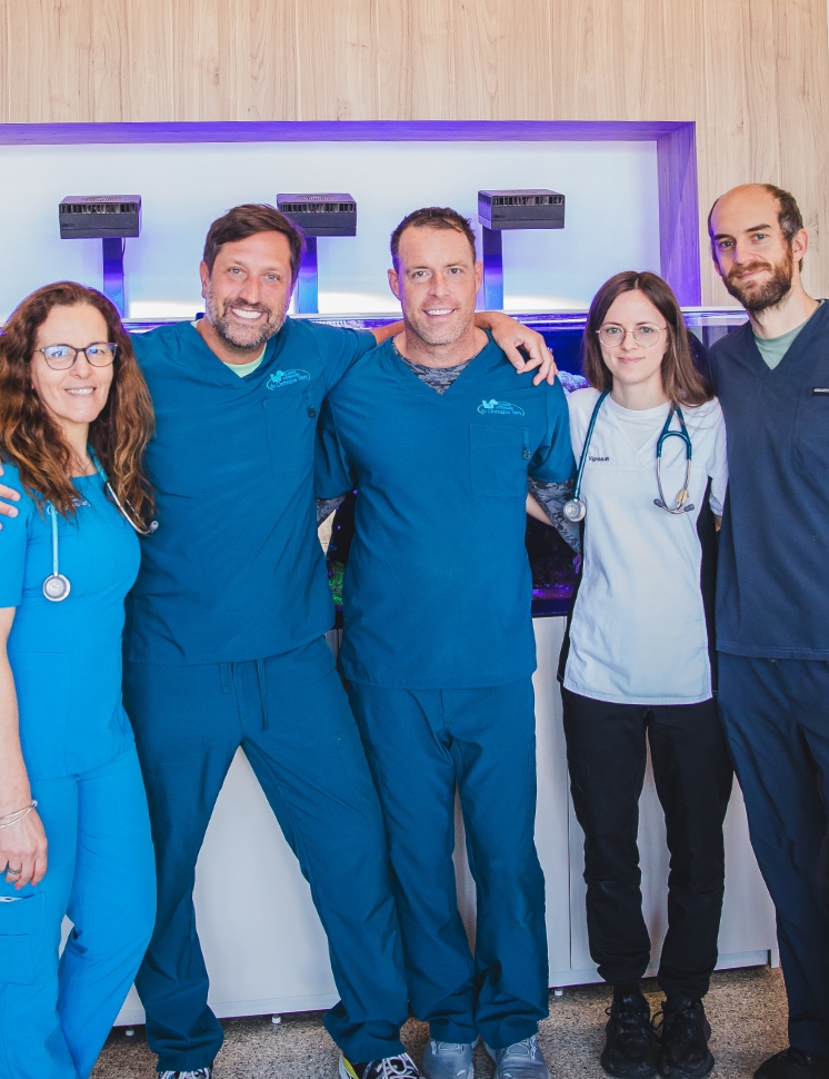 Nos valeurs Nos valeurs