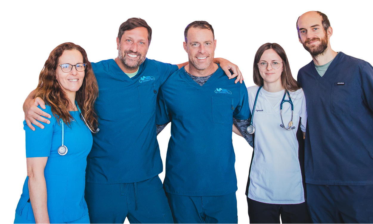 Nos vétérinaires Nos vétérinaires