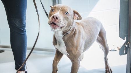 Physiothérapie et services complémentaires