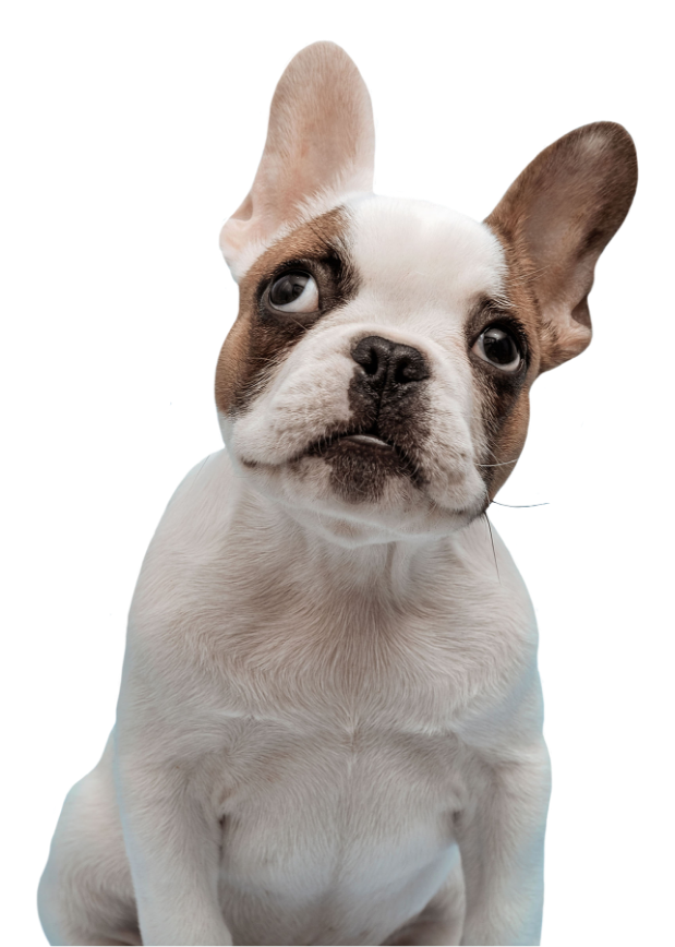 Consultation en médecine préventive Consultation en
médecine préventive