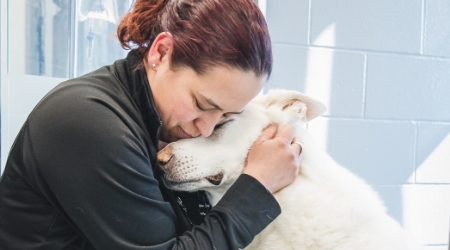 Consultation pour maladie ou urgence