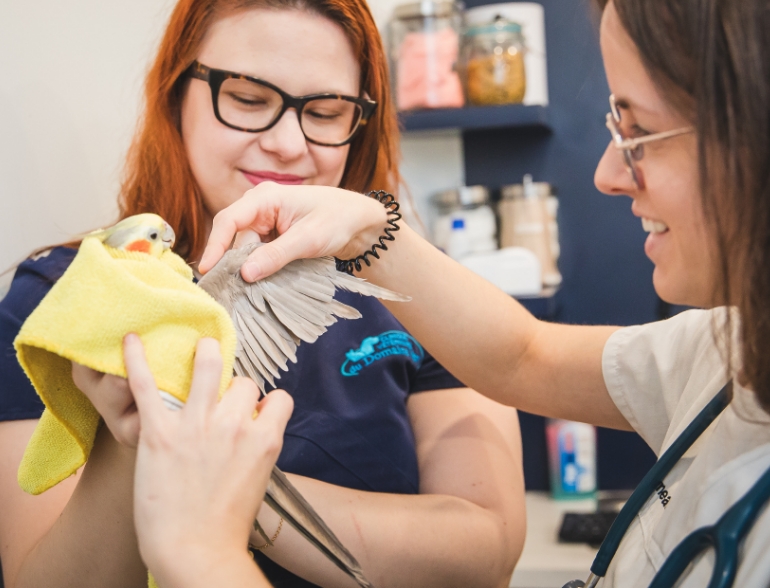 Un accompagnement complet Un accompagnement complet