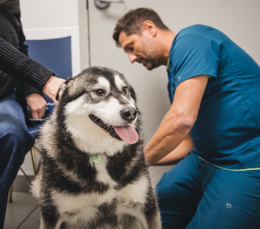 Un symptôme inquiétant Un symptôme inquiétant