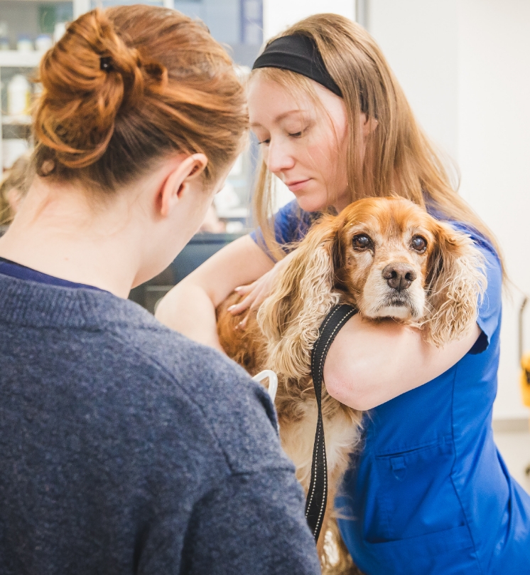 Une approche proactive Une approche proactive, pour prévenir plutôt que guérir