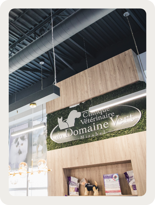 Une clinique ouverte tous les jours Une clinique ouverte tous les jours