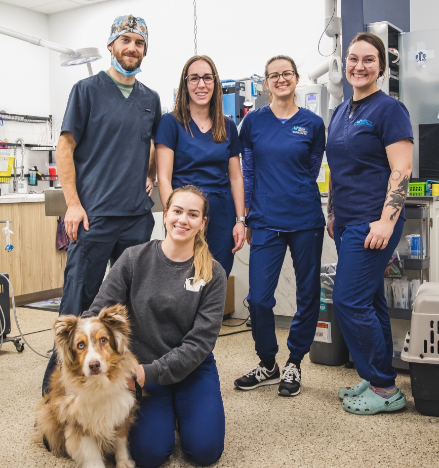 Une équipe réactive Une équipe réactive, à votre écoute