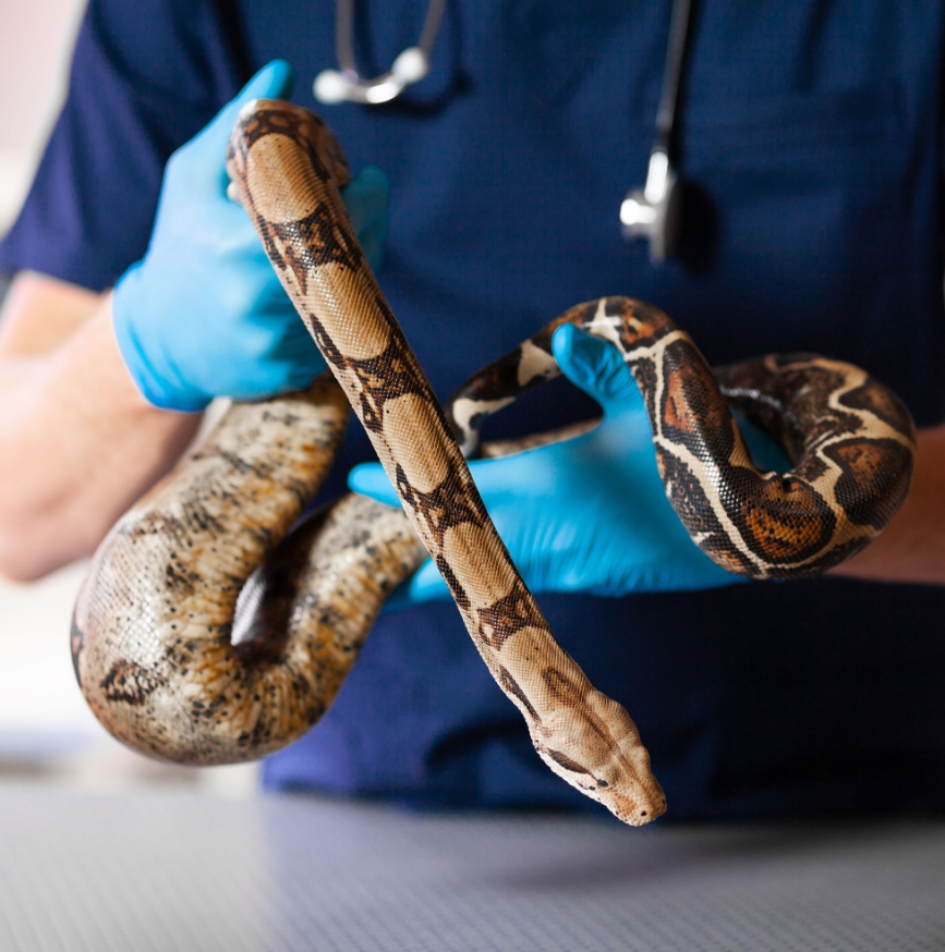 Une prévention adaptée à toutes les espèces Une prévention adaptée à toutes les espèces