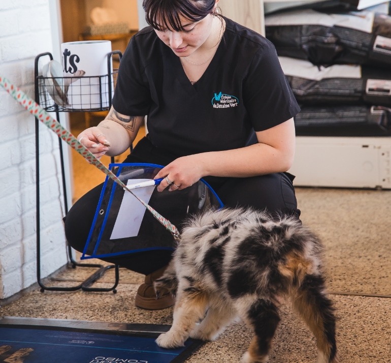 Une référence en chirurgie d’urgence Une référence en chirurgie d’urgence