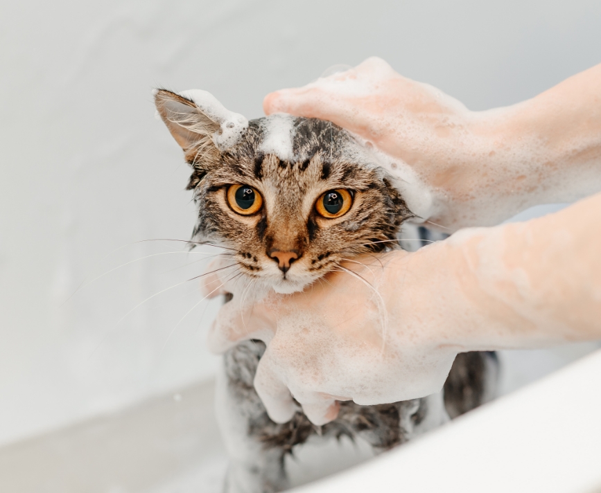 Ce que comprend le service Ce que comprend le service