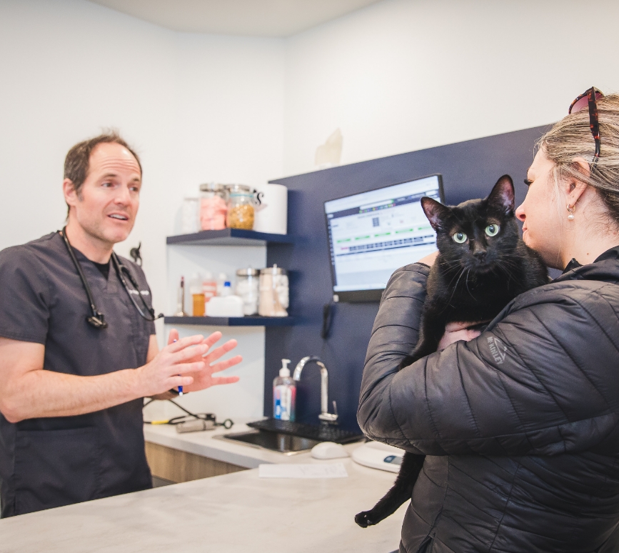 Communication avec les familles Communication avec les familles