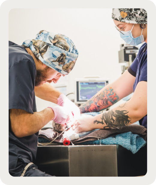 Dentisterie opératoire-service Dentisterie opératoire : quand il faut aller plus loin