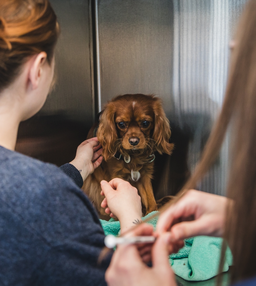 Médication et besoins particuliers Médication et besoins particuliers