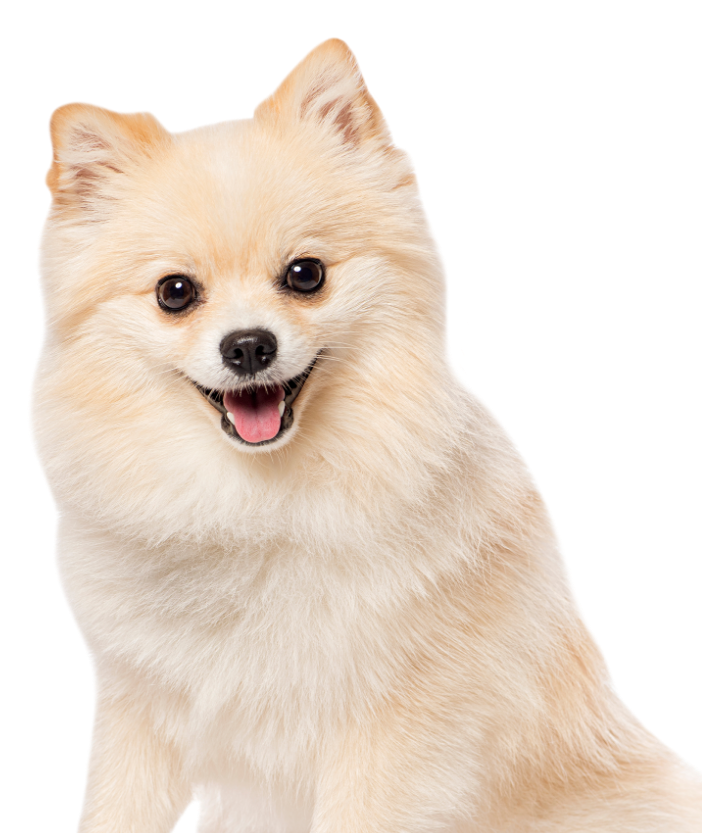 Problème dermatologique Problème dermatologique