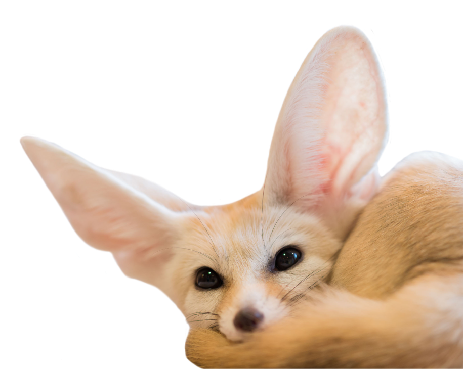 Procédure de référence Procédure de référence