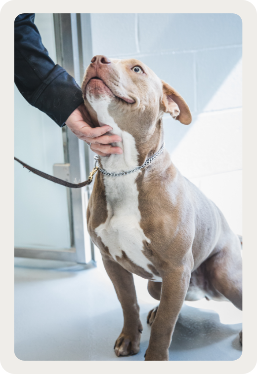 Un accompagnement sans culpabilisation Un accompagnement sans culpabilisation