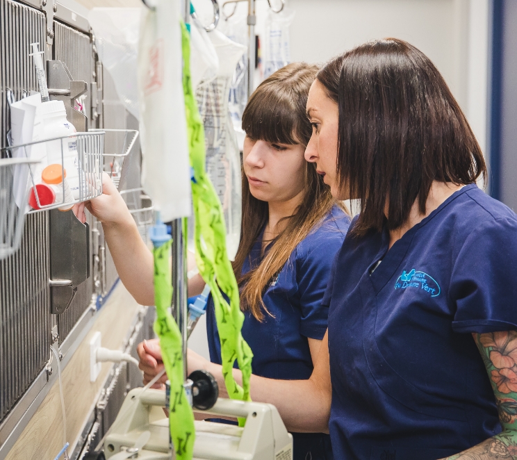 Un environnement sécuritaire Un environnement sécuritaire et rassurant