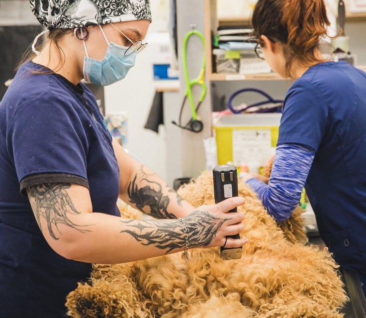 Un toilettage encadré Un toilettage encadré par une équipe vétérinaire