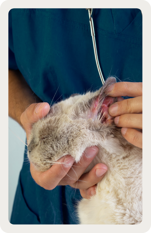 Une approche complète et rigoureuse Une approche complète et rigoureuse