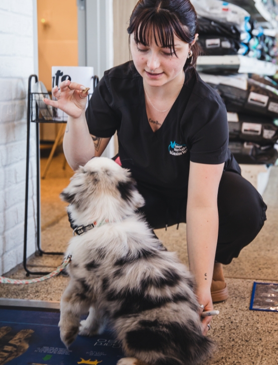 Une évaluation complète Une évaluation complète avant de commencer