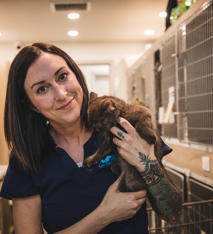 Une pension intégrée à la clinique Une pension intégrée à la clinique