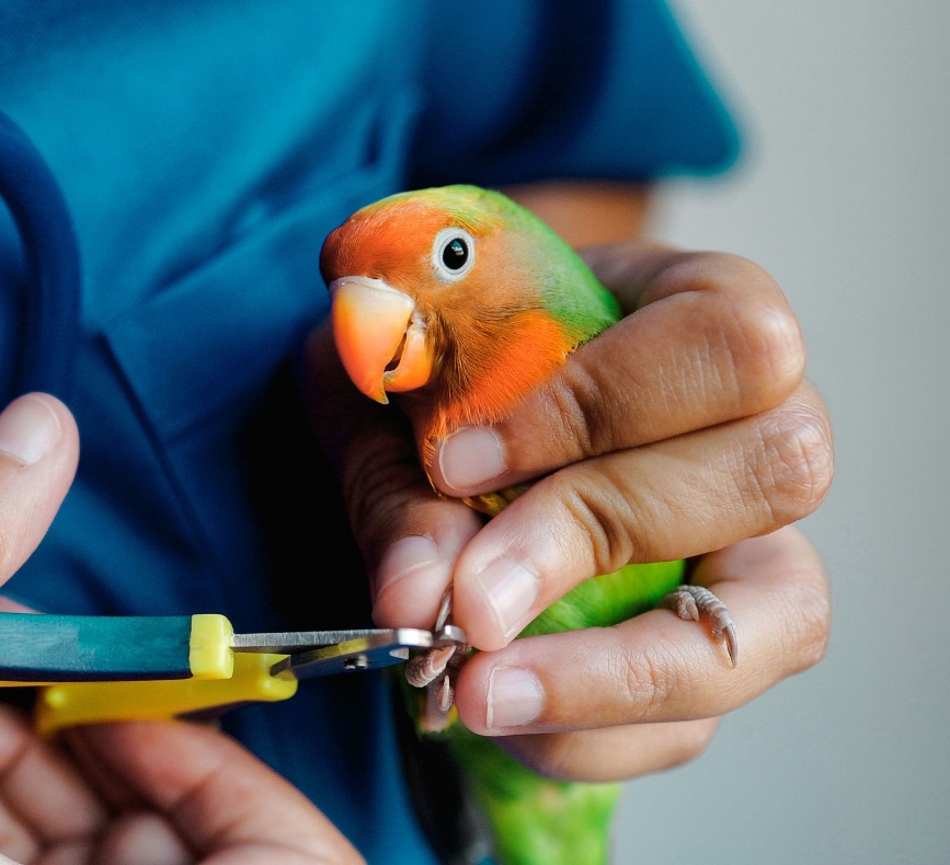 Une référence sur la Rive-Nord pour vos NACs Une référence sur la Rive-Nord pour vos NACs