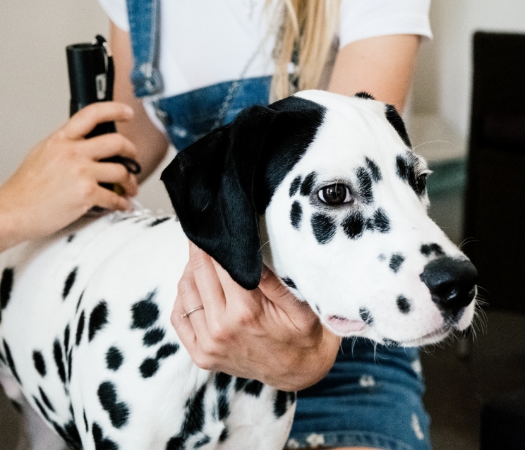 Qu’est-ce que le laser thérapeutique ? Qu’est-ce que le laser thérapeutique ?