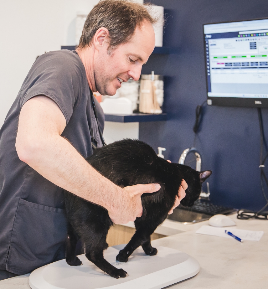 le poids de votre animal Pourquoi surveiller
le poids de
votre animal ?