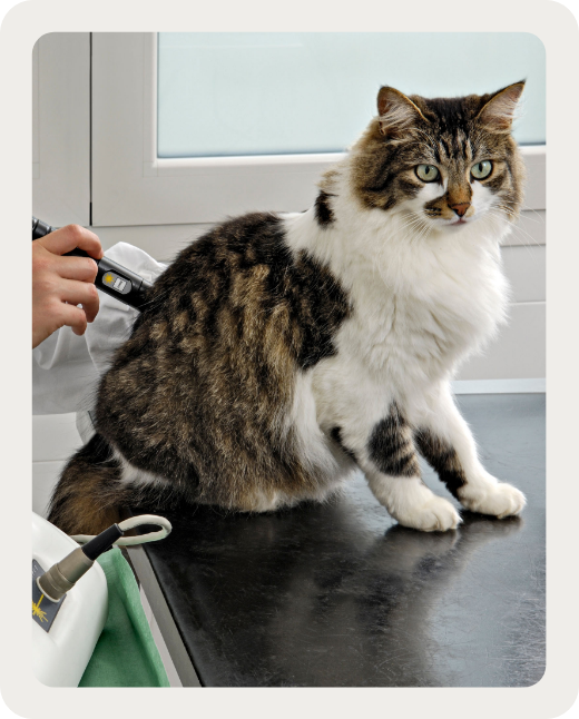 Les avantages du traitement au laser Quels sont les avantages du traitement au laser ?