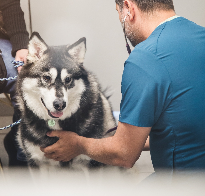 Quand recommande-t-on une imagerie médicale ? Quand recommande-t-on une imagerie médicale ?